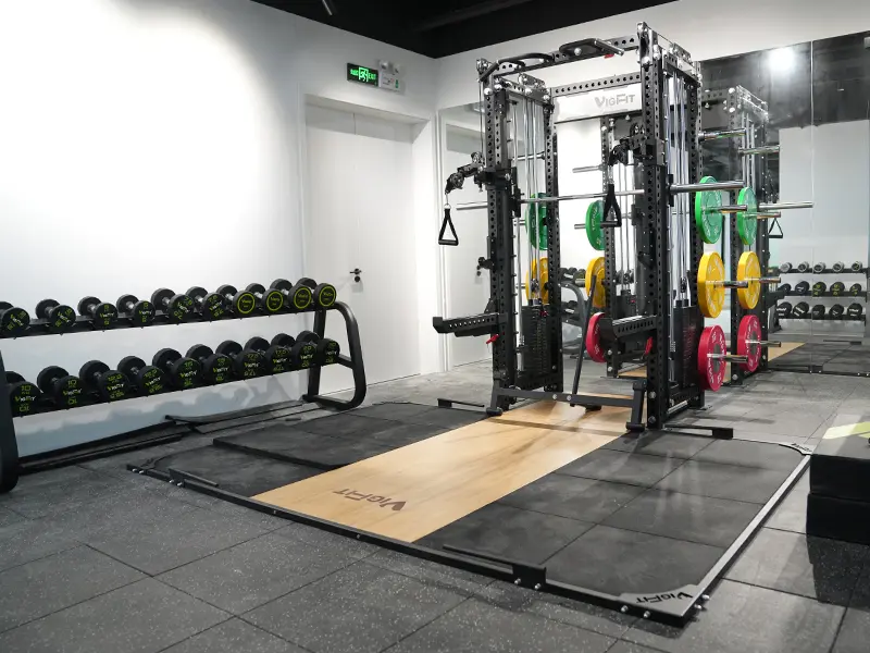 OEM strength training machines, power racks and benches by VIGFIT
