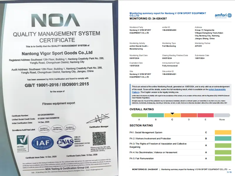 ISO9001 BSCI certificate VIGFIT